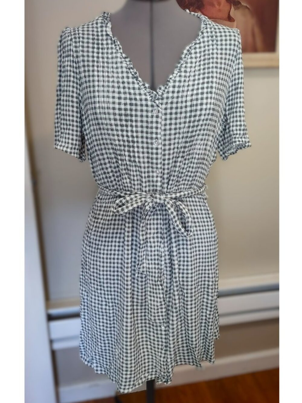 Market & Spruce Gingham Dress